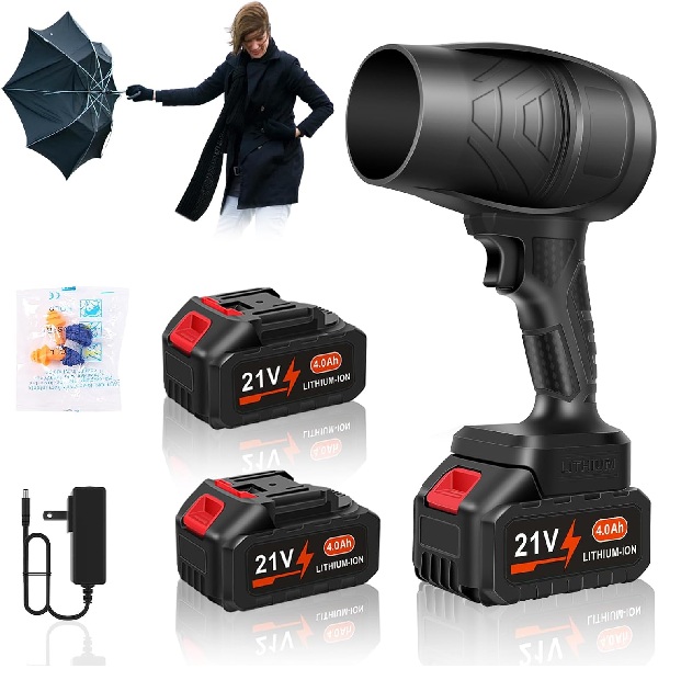 DailySee Cordless Leaf Blower